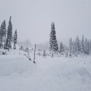 Meet your Posher, Pedro